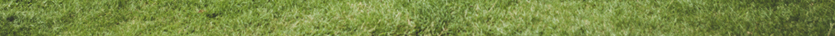 share-your-story-footer